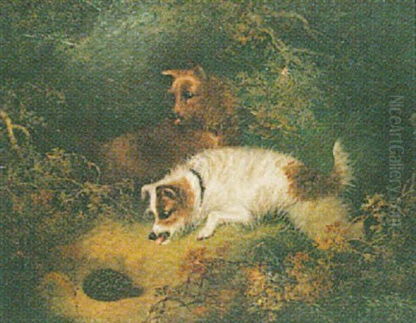 Terriers Ratting Oil Painting by Edward Armfield