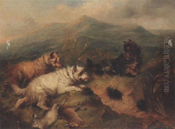 Terriers Rabbiting Oil Painting by Edward Armfield