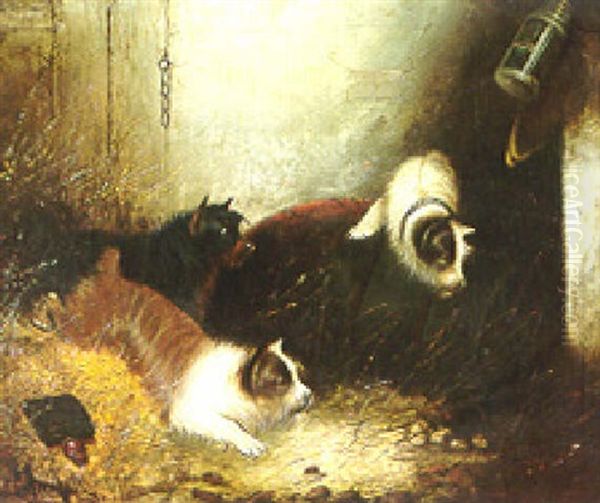 Terriers Ratting Oil Painting by Edward Armfield