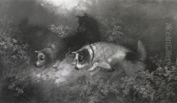 Terriers Ratting Oil Painting by Edward Armfield