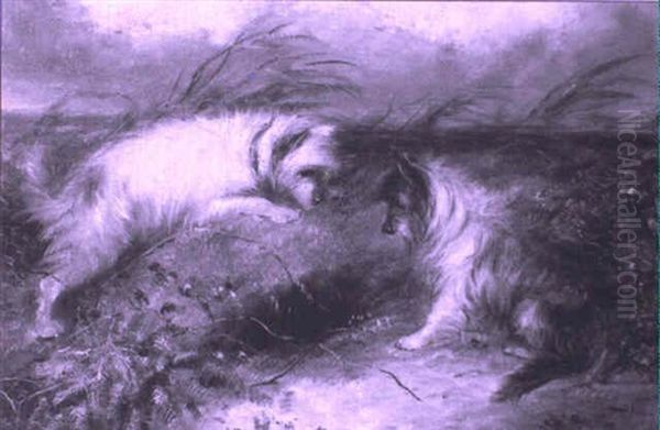 Terriers Rabbiting Oil Painting by Edward Armfield