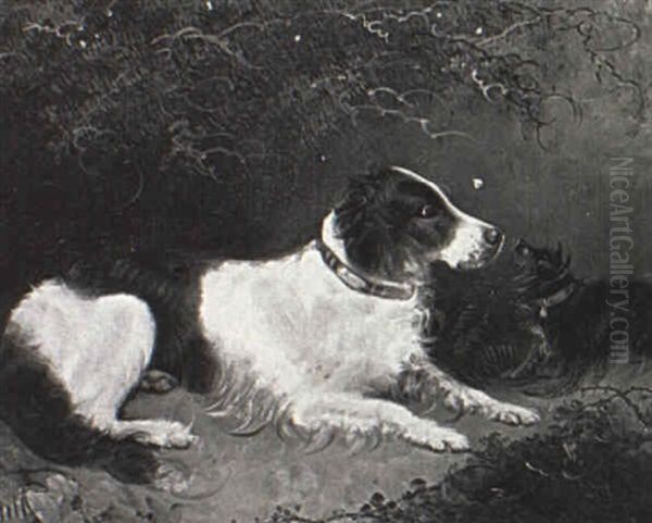 A Setter And A Terrier Oil Painting by Edward Armfield