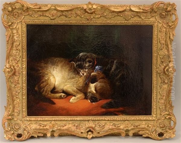 Best Of Friends, Cuddling Dog And Cat by George Armfield