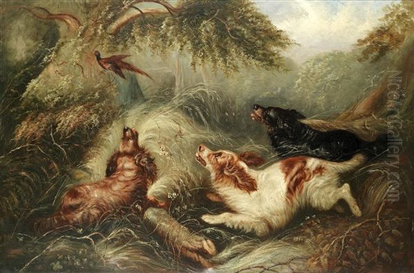 Spaniels Putting Up A Pheasant Oil Painting by George Armfield