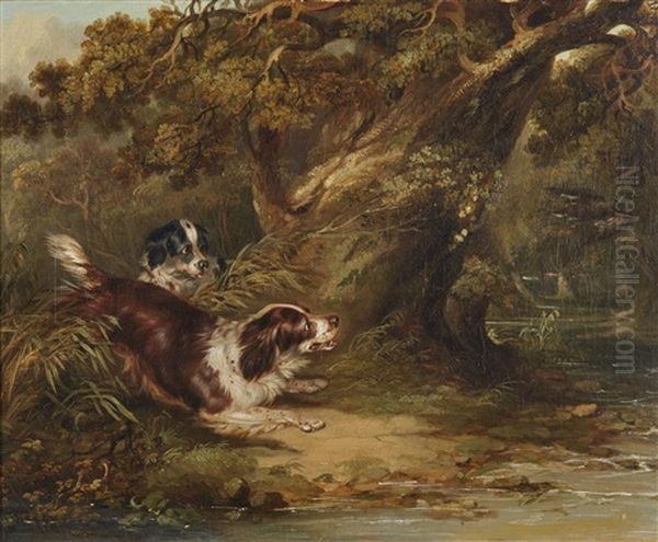 Spaniels Putting Up Duck by George Armfield