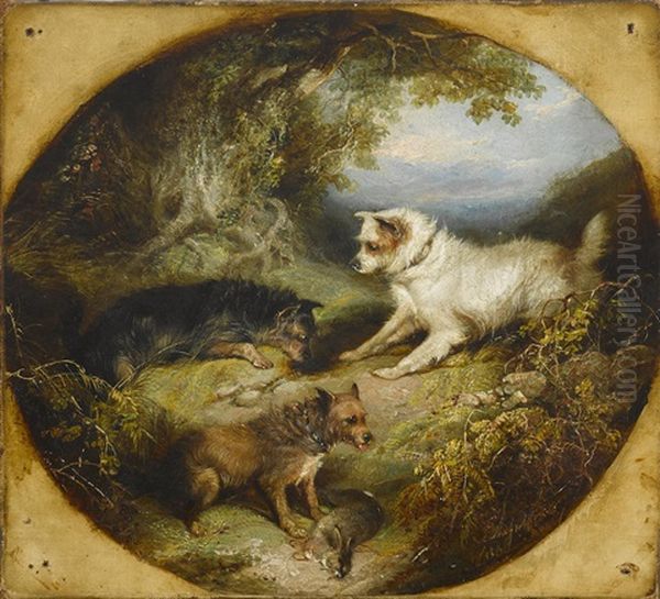 Terriers By A Burrow Oil Painting by George Armfield