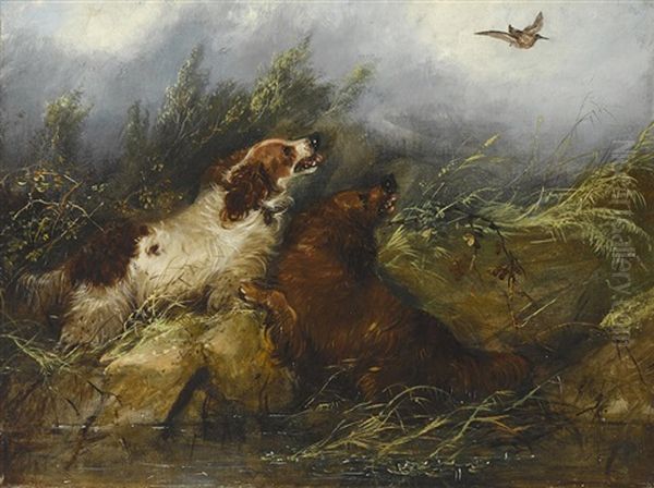 Spaniels Flushing A Bird Oil Painting by George Armfield