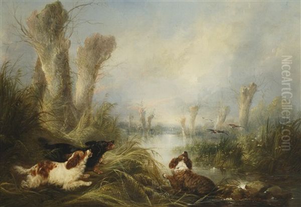 Three Spaniels In A Marsh Oil Painting by George Armfield