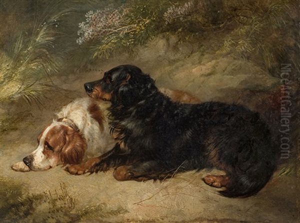 Zwei Liegende Hunde Oil Painting by George Armfield