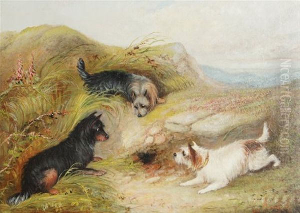 Terriers Hunting Oil Painting by George Armfield