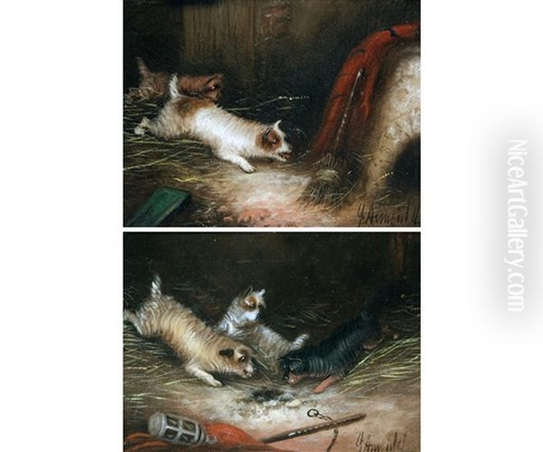 George Armfield Terriers Ratting (a Pair) Oil Painting by George Armfield