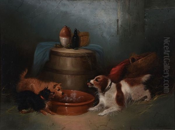 Terriers And Spaniel Oil Painting by George Armfield