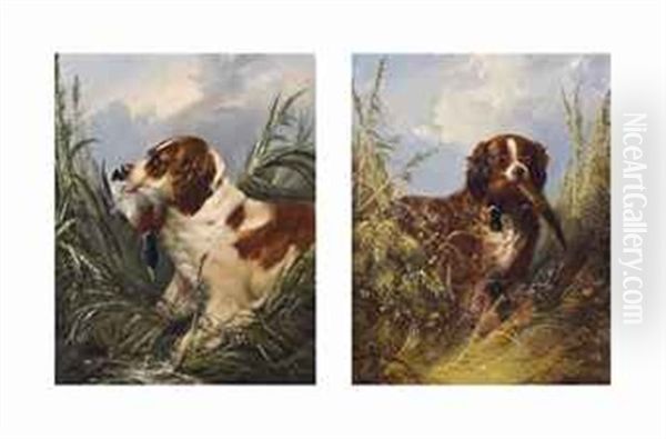 Retrieving: Duck And Pheasant (pair) Oil Painting by George Armfield