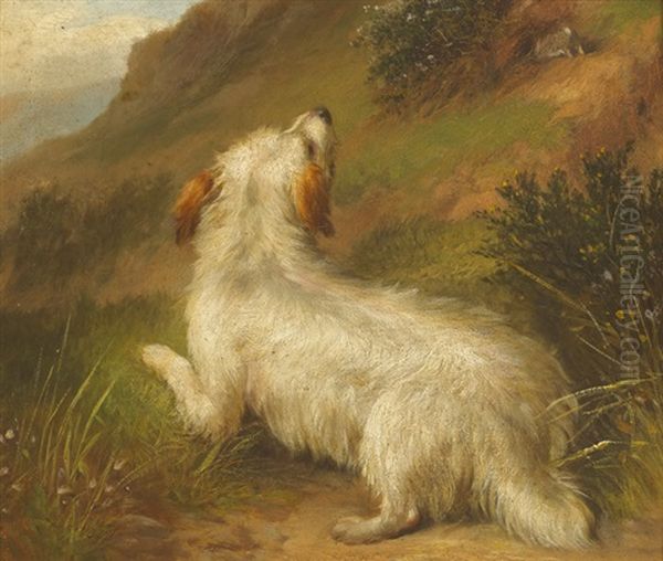 Terrier And Retrievers (pair) Oil Painting by George Armfield