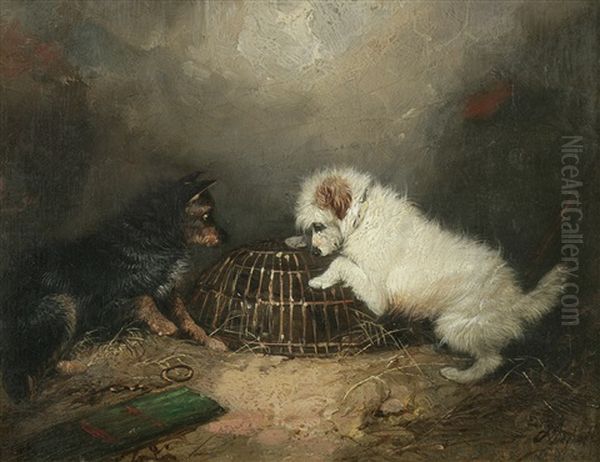 Terriers With A Caged Rat Oil Painting by George Armfield