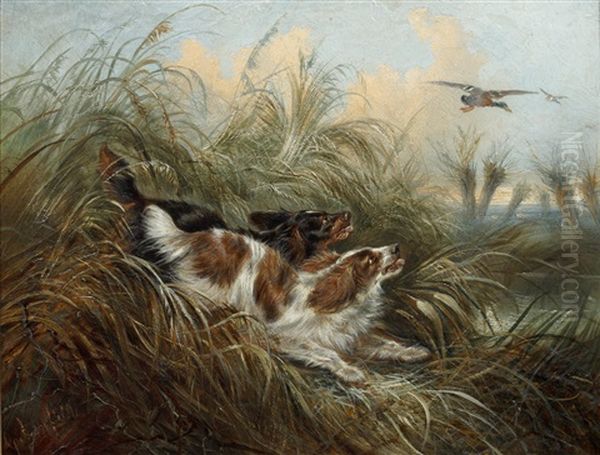 Two Spaniels Chasing A Mallard Oil Painting by George Armfield