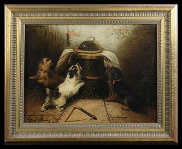 Three Terriers (3 Works) Oil Painting by George Armfield