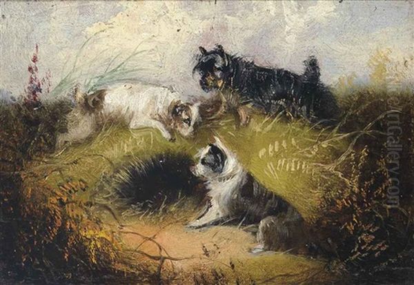 Terriers Rabbitting; On Point; And The Catch (3 Works) Oil Painting by George Armfield