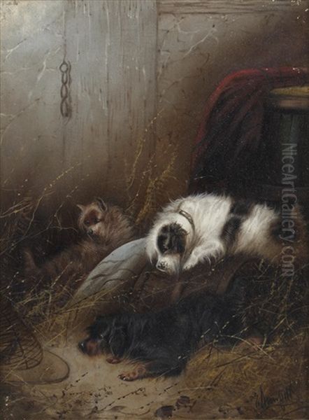 Terriers In An Interior; Terriers Sleeping In A Barn (pair) Oil Painting by George Armfield