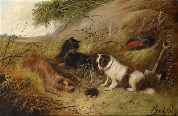 Drei Hunde Bewachen Einen Tierbau Oil Painting by George Armfield