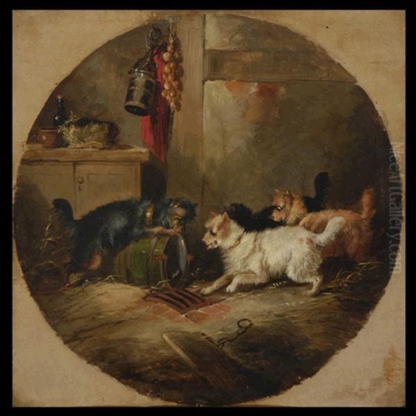 Curious Terriers Oil Painting by George Armfield