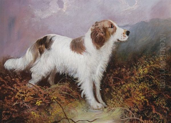 Springer Spaniel Oil Painting by George Armfield