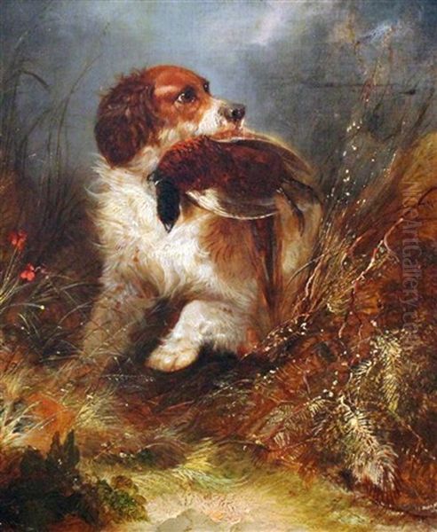 Spaniel With A Pheasant Oil Painting by George Armfield