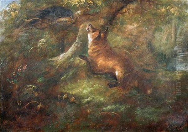 A Fox Chasing A Rook Up A Tree Oil Painting by George Armfield