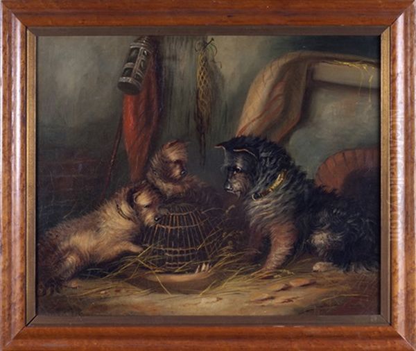 Three Terriers Around A Wicker Cage Oil Painting by George Armfield