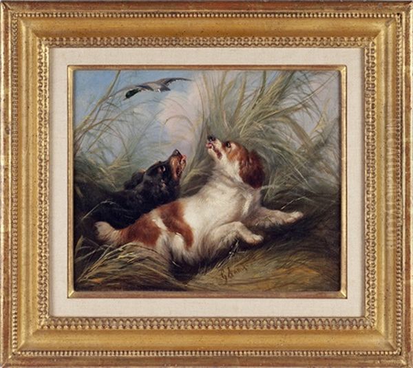 Spaniels Flushing A Duck Oil Painting by George Armfield