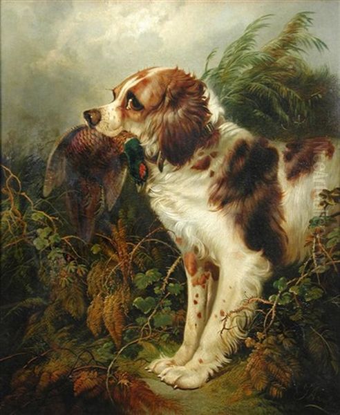 A Spaniel Retriever Oil Painting by George Armfield