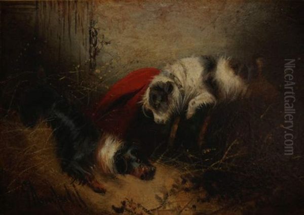 Zwei Gute Freunde, Zwei Spielende Terrier Oil Painting by George Armfield