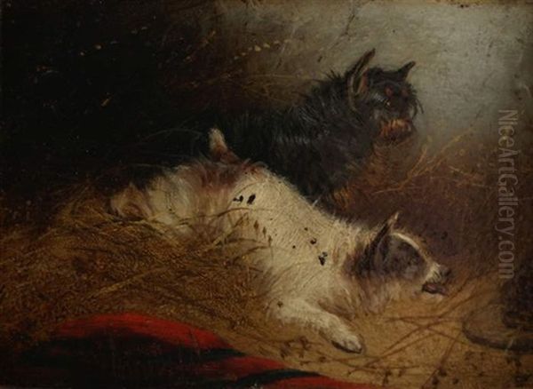 Zwei Gute Freunde, Zwei Terrier In Verteidigung Oil Painting by George Armfield