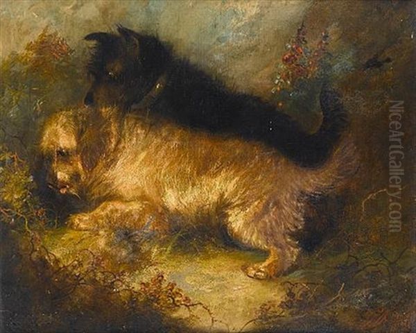 Terriers By A Burrow Oil Painting by George Armfield