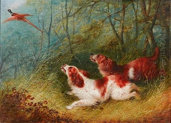 Spaniel Flushing Pheasant by George Armfield