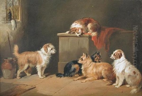 A Stand-off Between Terriers Oil Painting by George Armfield