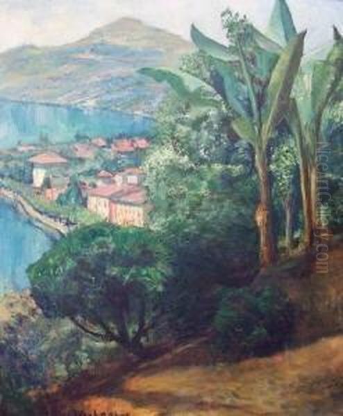 Italienische Seenlandschaft Mit Palmen Oil Painting by August Achtenhagen