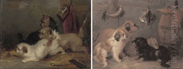 Terriers Ratting (+ Spaniels In A Larder; Pair) Oil Painting by George Armfield