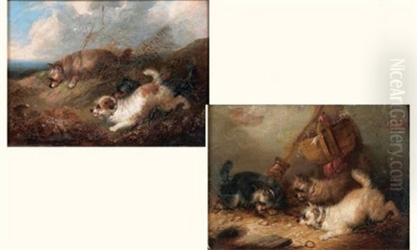 Groupe De Chiens (+ Another; Similar; Pair) Oil Painting by George Armfield