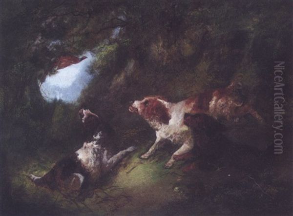 Dogs Hunting Pheasant Oil Painting by George Armfield