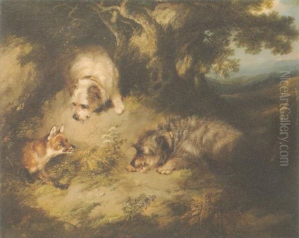 Terriers Approaching A Fox In A Wooded Landscape Oil Painting by George Armfield