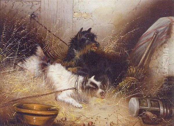 An Impertinent Thief: Two Dogs And A Mouse Oil Painting by George Armfield