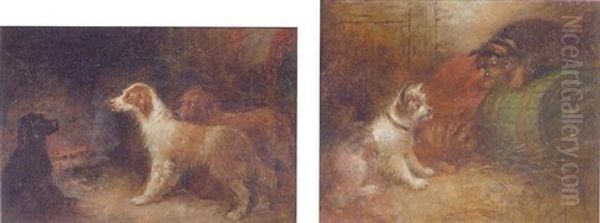 Dogs At Play Oil Painting by George Armfield