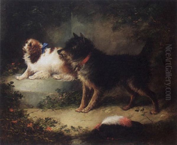 A Spaniel And A Terrier Oil Painting by George Armfield