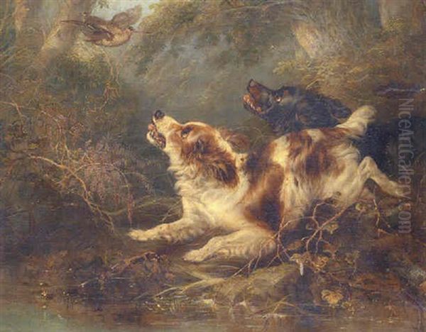 Spaniels Flushing A Woodcock Oil Painting by George Armfield