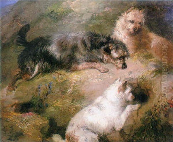 Terriers Waiting By A Rabbit Hole Oil Painting by George Armfield