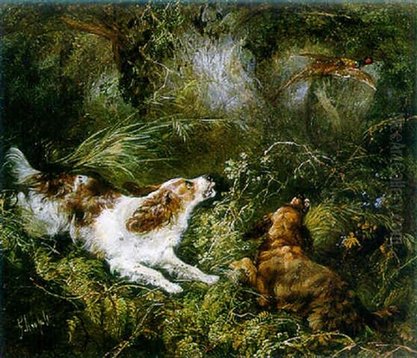 Spaniels Putting Up A Pheasant Oil Painting by George Armfield