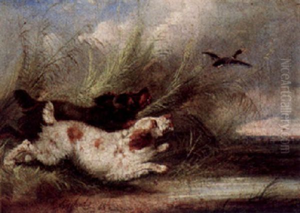 Terriers Chasing A Rabbit To Earth Oil Painting by George Armfield