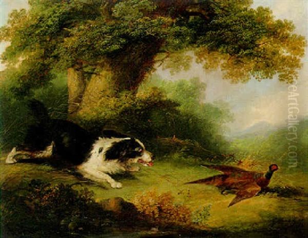 Spaniel And Pheasant Oil Painting by George Armfield