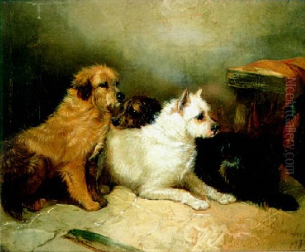 Terriers In An Interior Oil Painting by George Armfield